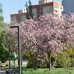 Botanic Garden Apartment