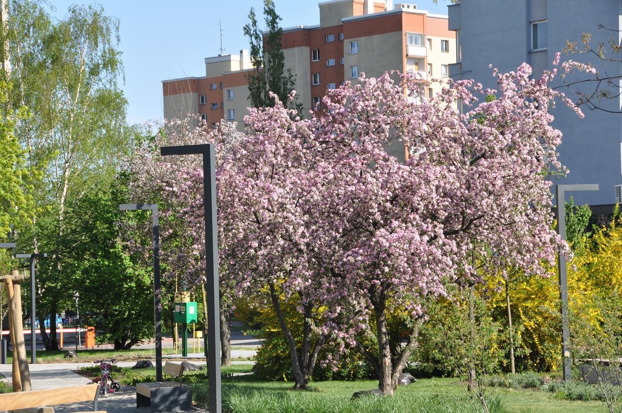 Botanic Garden